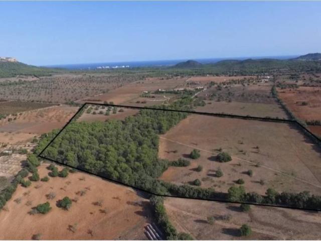 Terreno en Venta en Santanyí
