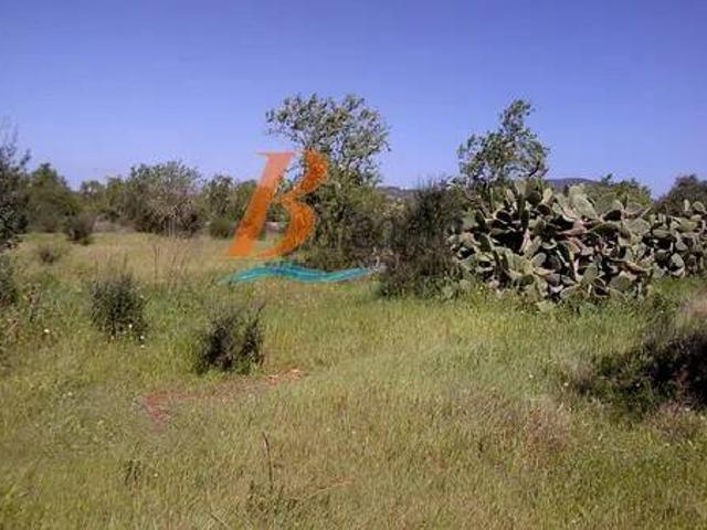 Terreno en Venta en Santanyí
