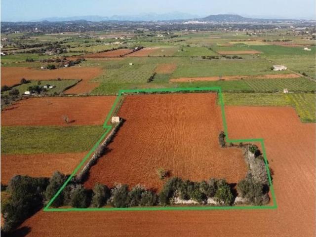 Terreno en Venta en Santanyí