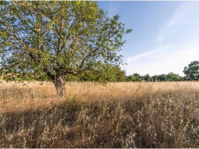 Terreno en Venta en Santanyí