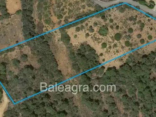 Terreno en Venta en Santanyí
