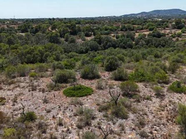 Terreno en Venta en Santanyí
