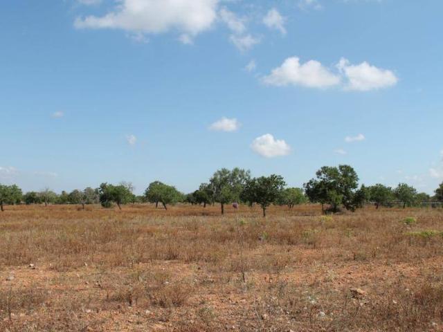Terreno en Venta en Santanyí