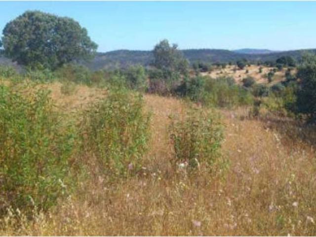 Terreno en Venta en Santiago de Alcántara