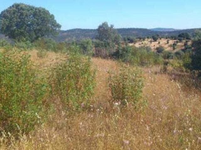 Terreno en Venta en Santiago de Alcántara