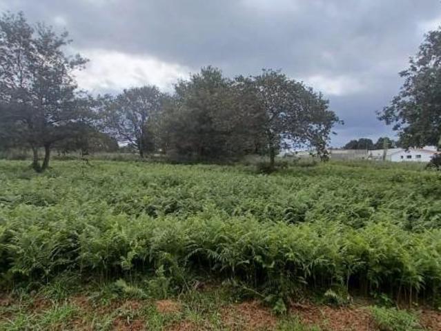 Terreno en venta en Santiago de Compostela, Poligono del Tambre