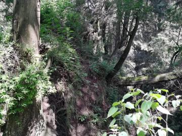 Terreno en venta en Santo Tomas Ajusco, Tlalpan, Ciudad de México