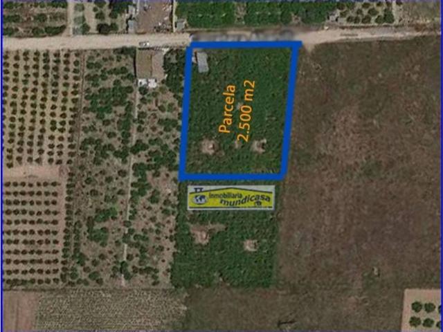 Terreno en Venta en Santomera