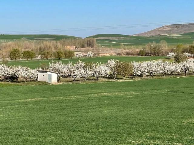 Terreno en Venta en Sasamón