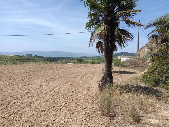 Terreno en Venta en Sarral