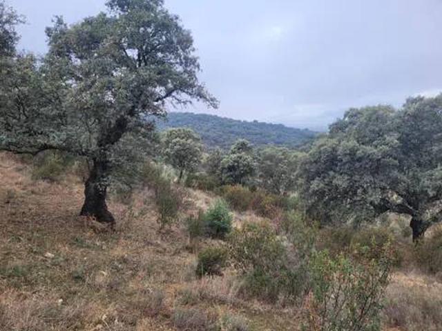 Terreno en Venta en Sartajada