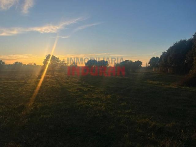 Terreno en Venta en Saucedilla