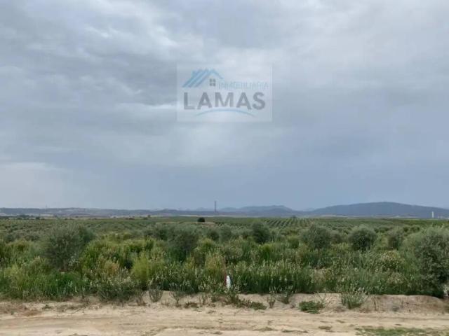 Terreno en Venta en Saucedilla