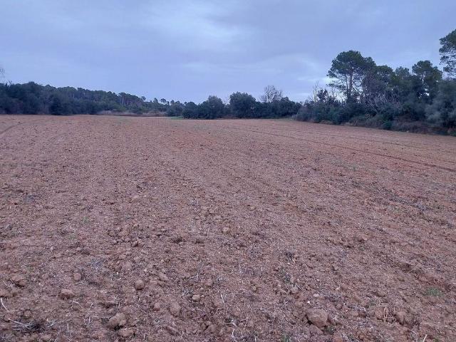 Terreno en venta en Vilopriu, de 28.000 m² por 26.000