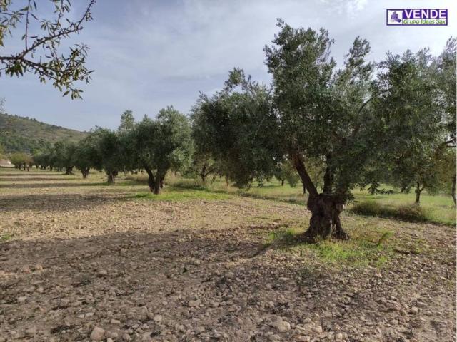 Terreno en Venta en Sax