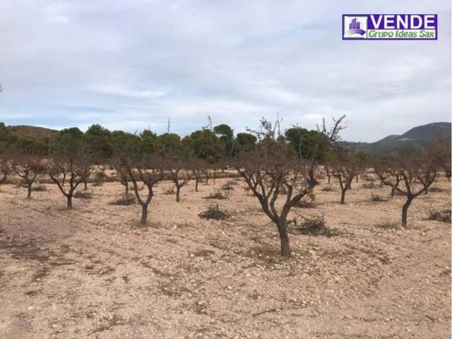 Terreno en Venta en Sax