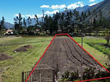 TERRENO EN VENTA EN SECTOR HUAYLLABAMBA YUCAY VALLE SAGRADO
