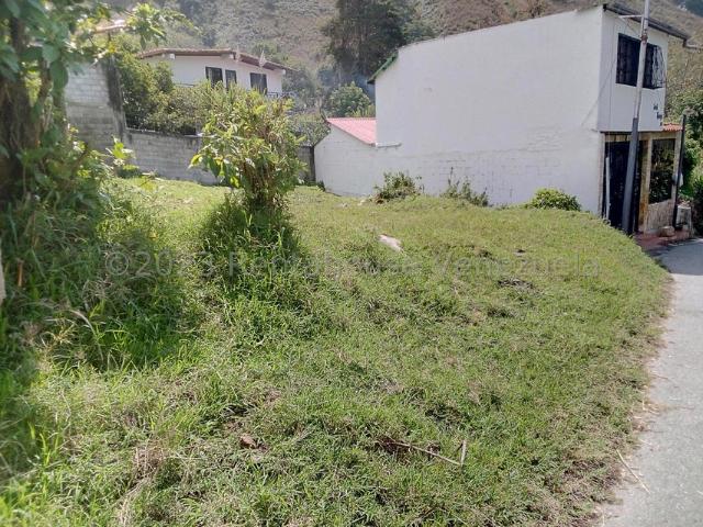 Terreno en Venta en Sector Montalban, Ejido