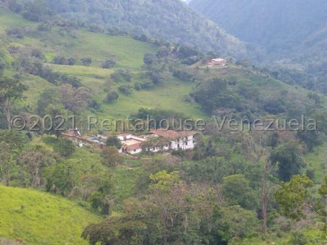 Terreno en Venta en Sector Parroquia Matriz, Ejido