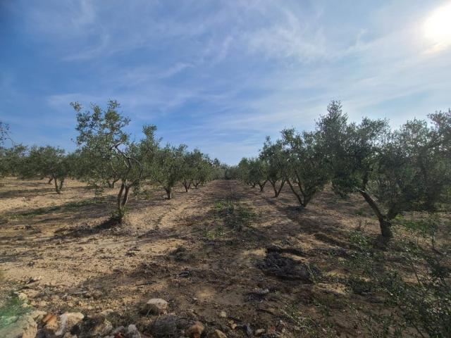 Terreno en venta en Secuita