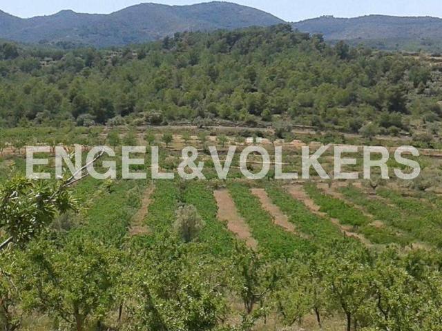 Terreno en Venta en Segorbe
