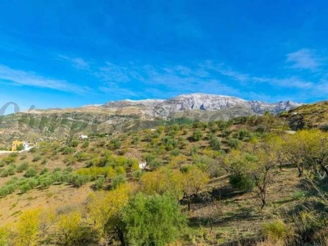 Terreno en Venta en Sedella