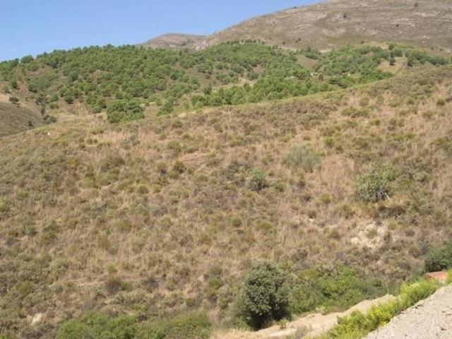 Terreno en Venta en Sedella