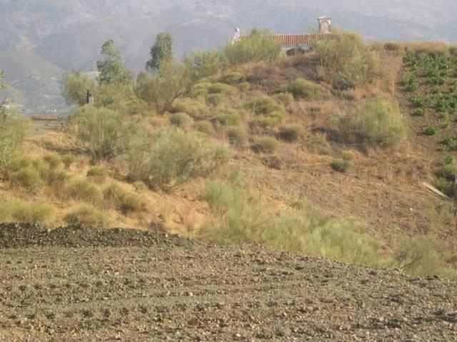Terreno en Venta en Sedella