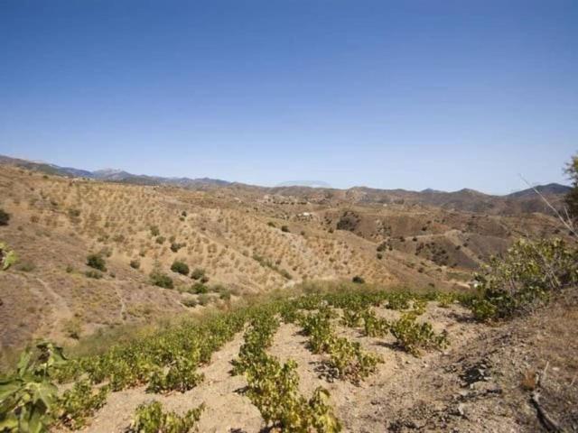 Terreno en Venta en Sedella