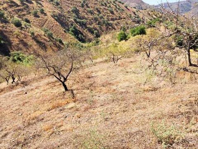 Terreno en Venta en Sedella
