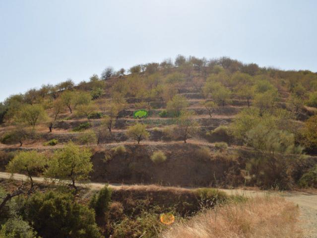 Terreno en venta en Sedella, Sedella