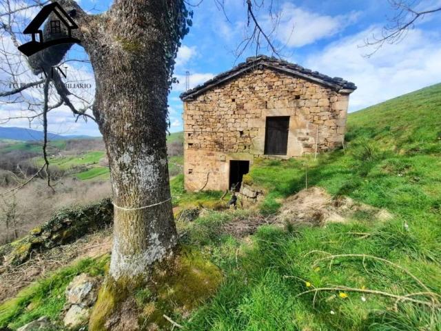 Terreno en Venta en Selaya