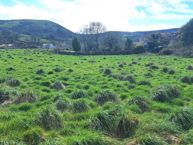 Terreno en Venta en Selaya