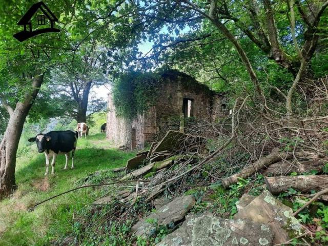 Terreno en Venta en Selaya