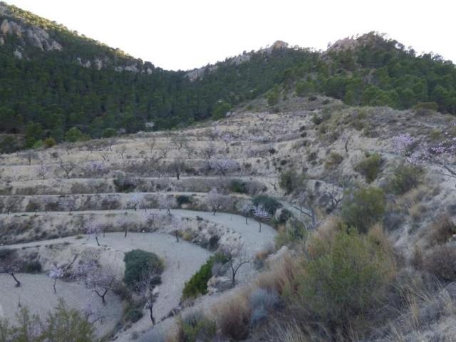Terreno en venta en Sella, Pda Almusent, 03579