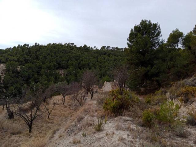 Terreno en Venta en Sella