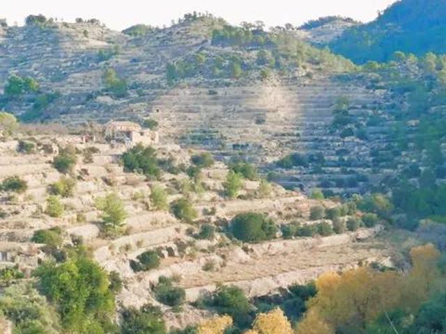 Terreno en Venta en Sella