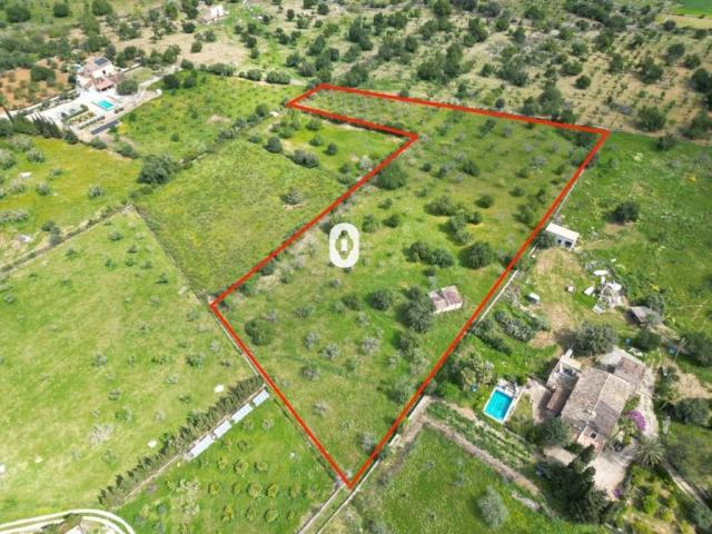 Terreno en Venta en Selva