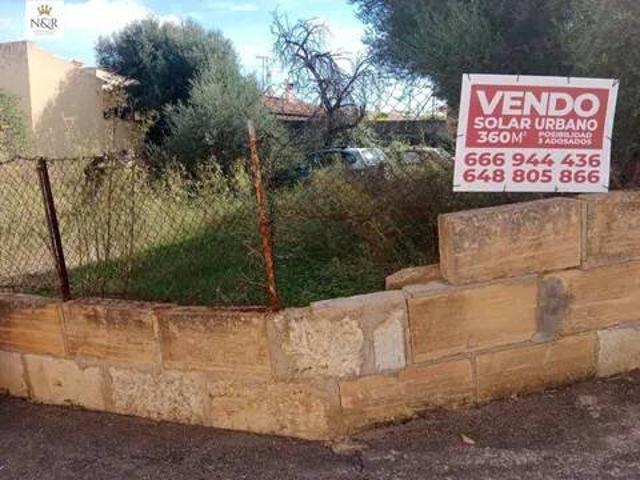 Terreno en Venta en Selva