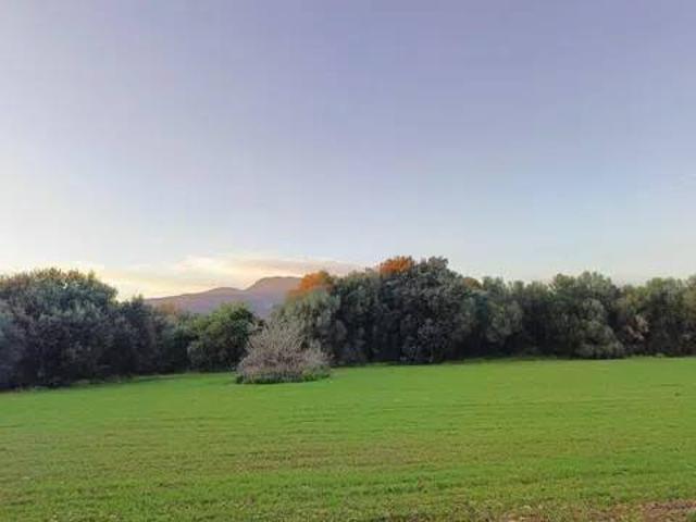 Terreno en Venta en Selva