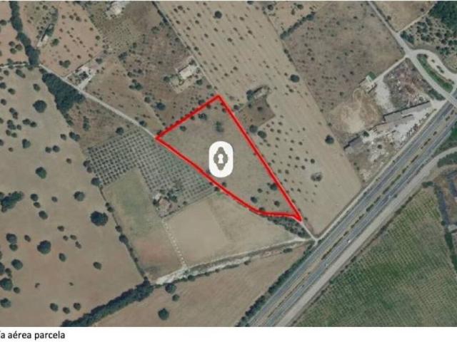 Terreno en Venta en Selva