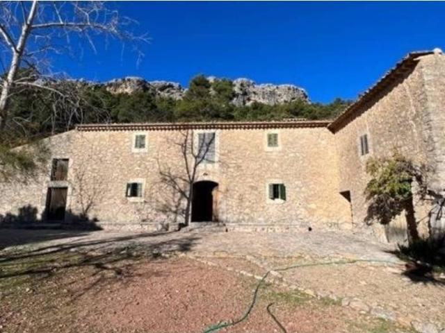 Terreno en Venta en Selva