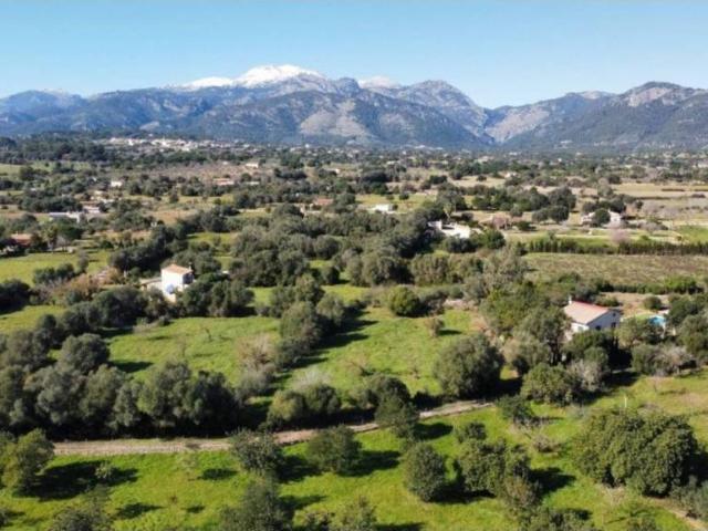 Terreno en Venta en Selva
