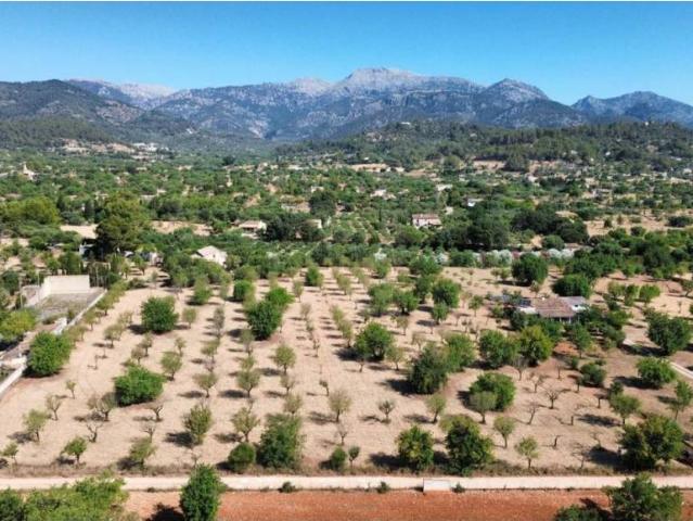 Terreno en Venta en Selva