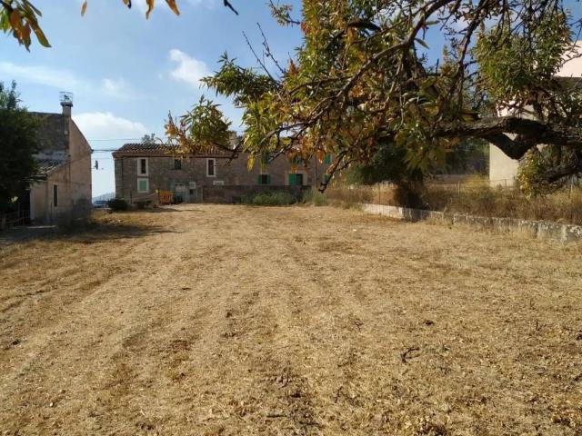 Terreno en Venta en Selva