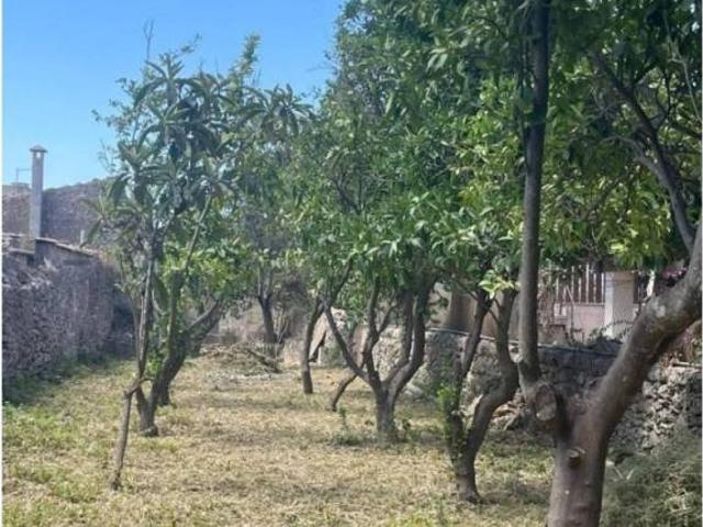 Terreno en Venta en Sencelles