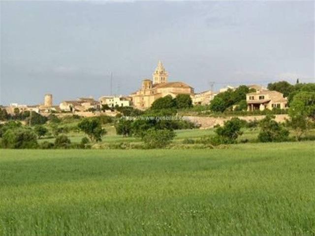 Terreno en Venta en Sencelles