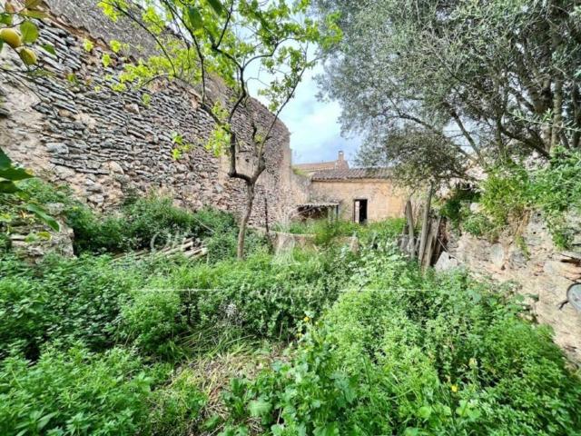 Terreno en Venta en Sencelles