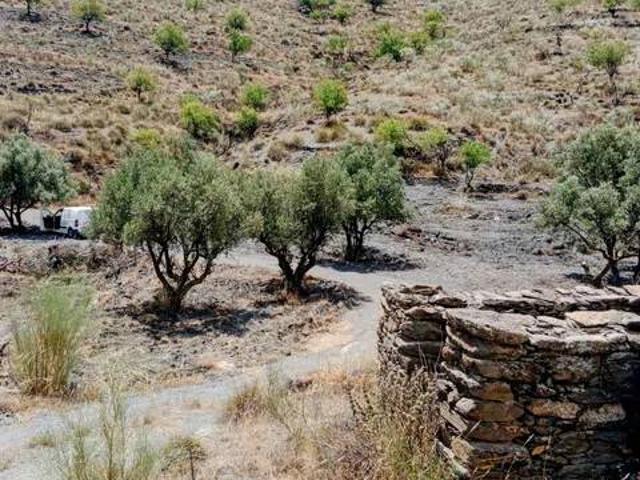 Terreno en Venta en Senés
