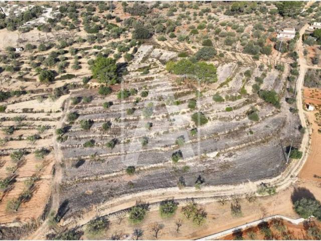 Terreno en Venta en Senija
